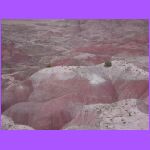 Rocks - Painted Desert.jpg